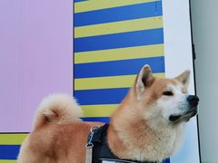 -北化机爱工场文化科技融合产业园