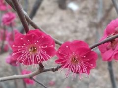 -北京鹫峰国家森林公园