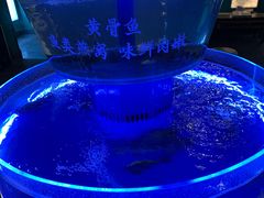 -佬麻雀·剁椒鱼头(京基KK One店)