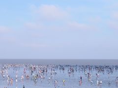 -南汇嘴观海公园