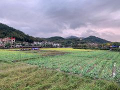 -红山村