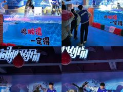 -顺德南宏海立方海洋公园