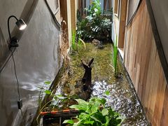 -邈墨茶馆(凤起路店)