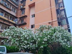 -四道口水产市场