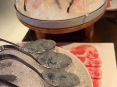 -辣伍鲜毛肚老火锅(元一店)