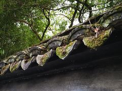 -秋霞圃