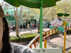 -朝阳公园游乐园