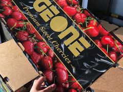 -东方鼎信农副产品交易中心