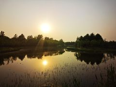 -东郊湿地公园