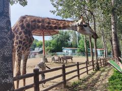 -大连森林动物园