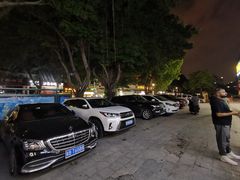 -Mevlana梅夫娜土耳其餐厅·清真