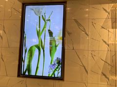 -奈雪的茶(正弘城PRO+店)