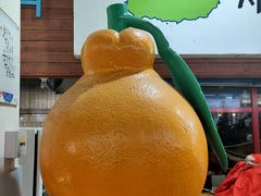 -西归浦每天偶来市场