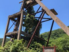 -金钉子远古世界景区