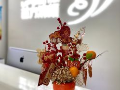 -苗方清颜专业祛痘