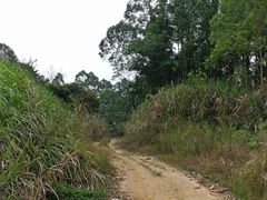 -乞力马扎罗山