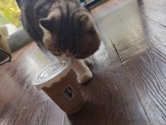 -参差咖啡(水果湖公园店)