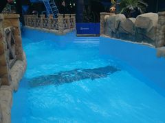 -青岛东方影都融创水世界