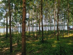 -长春市南湖公园