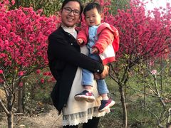 -渭南桃花源民俗文化园