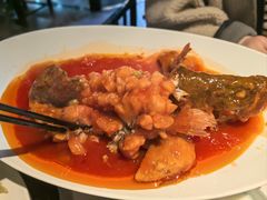 -院8里·小聚园老川菜(九眼桥店)