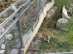 -石家庄市动物园