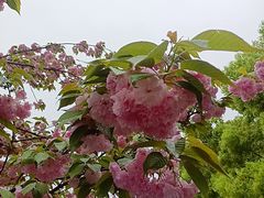 -万达广场(松江店)