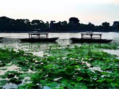 iphone_upload_pic-小王府(什刹海店)