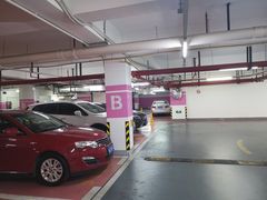 -复旦软件园·智慧新天地-停车场