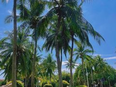 -三亚南山文化旅游区