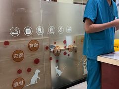 -艾贝尔宠物诊疗