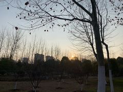-滨湖塘西河公园