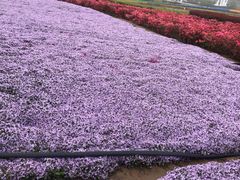 -西海岸生态观光园