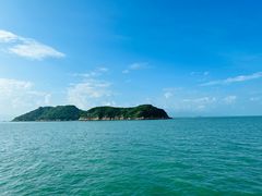 -招商蛇口邮轮母港(观光客运)