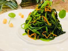 -宝界普菲特湖畔酒店
