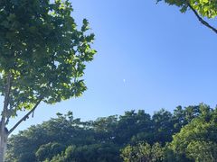 -滨湖塘西河公园