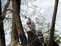 -南通洲际绿博园