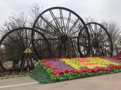 -呀路古热带植物园