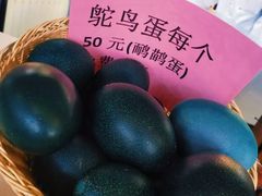 -大鹅岛绿色生态美食园