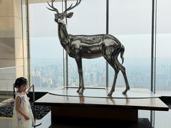 -北京柏悦酒店·锦庭餐厅Dining Room
