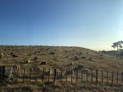 -霍比特人村