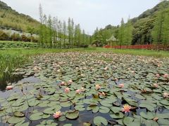 -广州市石门国家森林公园