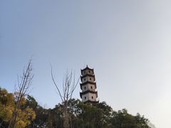 -江心屿景区