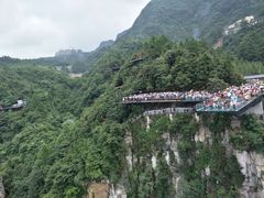 -梦幻奥陶纪景区