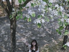 -深圳大学(丽湖校区)
