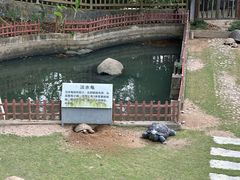 -广东惠东海龟国家级自然保护区