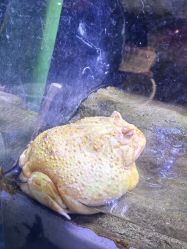 -酷嗒动物文化乐园(cutezoo西溪乐天城店)