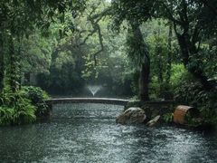 -广州兰圃