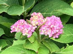 -苏州河梦清园环保主题公园