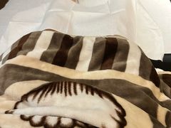 -天然沐足·推背采耳·敷姜艾灸(龙眼美食街店)